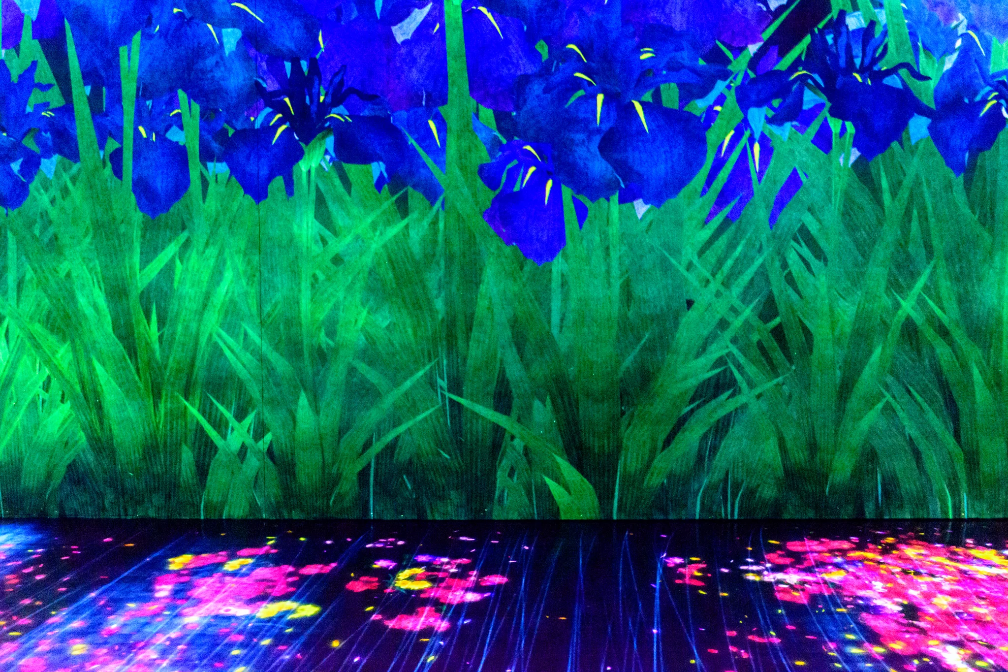 Sin Fronteras by teamLab 2018