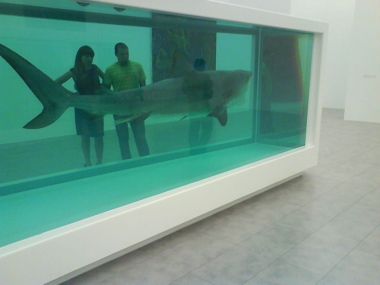 La Imposibilidad Física de la Muerte en la Mente de Alguien Vivo by Damien Hirst 1991