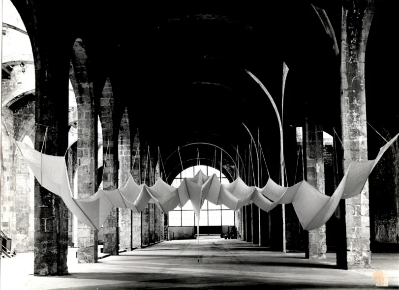 Aurèlia Muñoz. Entes