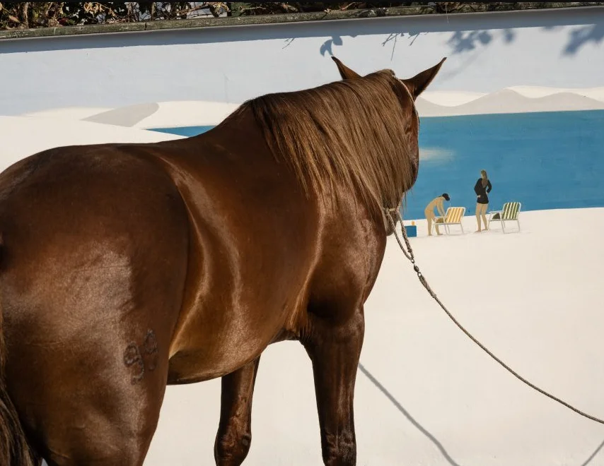 Cristina de Middel. Apoteosis Now