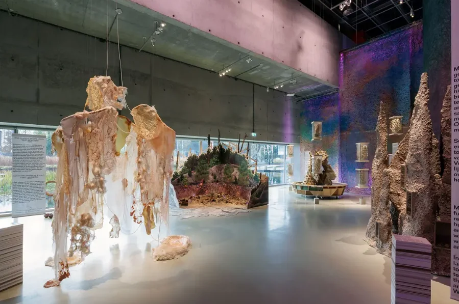 FUNGI: Diseñadores anarquistas