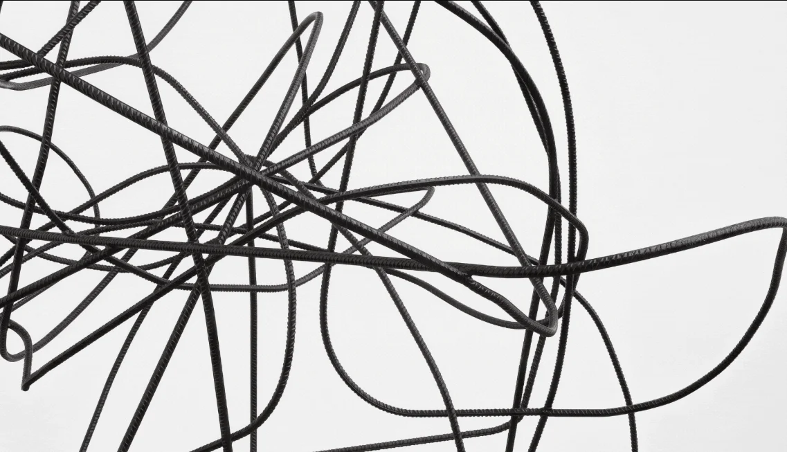 Monika Sosnowska: Weight of Matter
