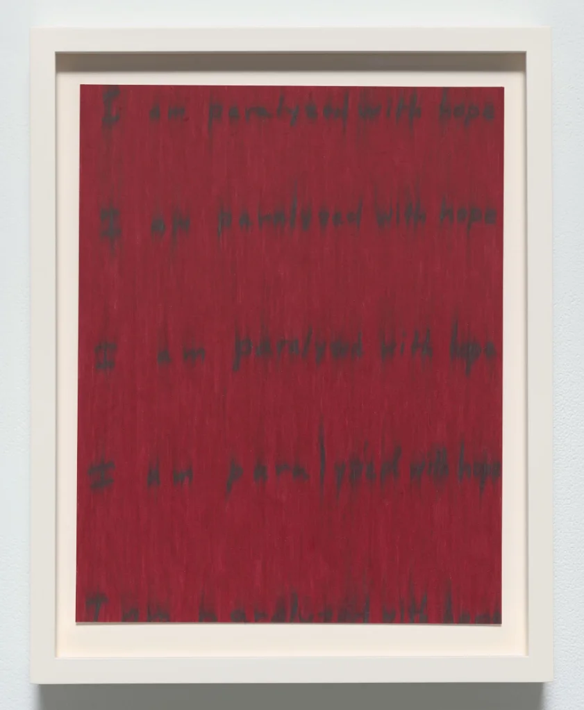 Roni Horn Seizure of Hope (81)  2025 Colored wax pencil, graphite on paper